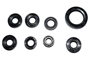 SELLOS-JGO B PULSAR 200NS AS 25-37-6, 12-24-5.5 (3), 12-24-5, 13-22-5.5, 12-20-55, 10-18-5