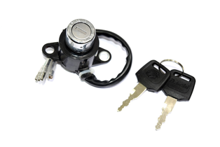 SWITCH ARRA H V-MEN R110 ( 250Z HASTA 2021 ) ( MRT NKD150 ) CR4