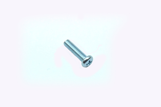 TORNILLO PHILLIPS 5X10MM