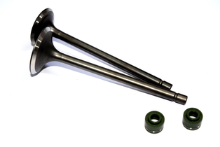 VµLVULA JGO H XL125 XL185ZS CG150 ITALIKA DM150 CR1 150Z ASPID  IN 30-92-5.5 EX 25-92-5.5 C/L