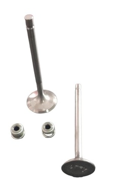 VALVULA JGO TVS STRYKER125 IN 25.5-81-5 EX 22.5-80.5-5 C\L